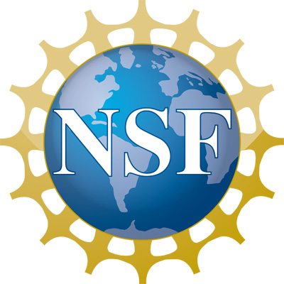 2017 NSF Logo 